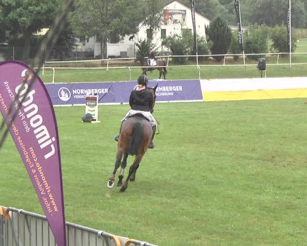 Reitturnier Nördlingen 2018