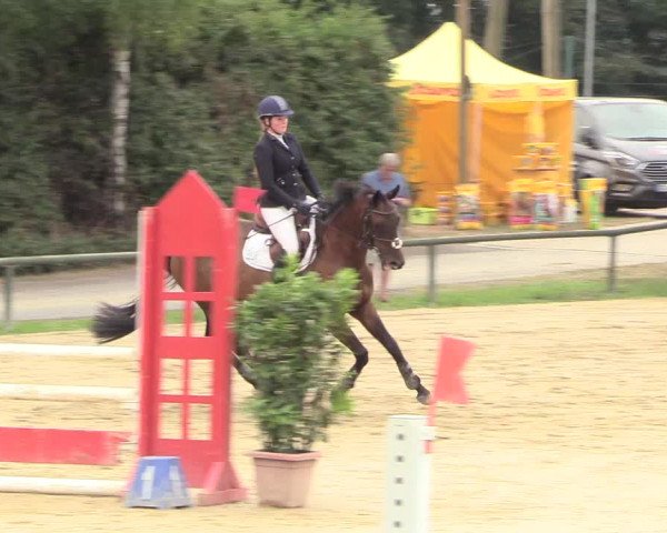 Reitturnier Herbern 2018