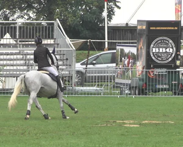 Reitturnier Nördlingen 2018