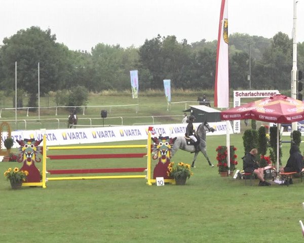 Reitturnier Nördlingen 2018