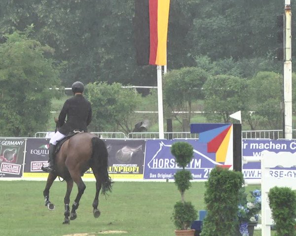 Reitturnier Nördlingen 2018