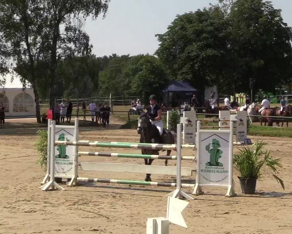 Reitturnier Herbern 2018