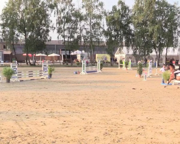 Reitturnier Herbern 2018
