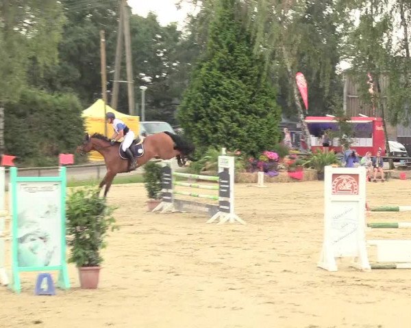 Reitturnier Herbern 2018