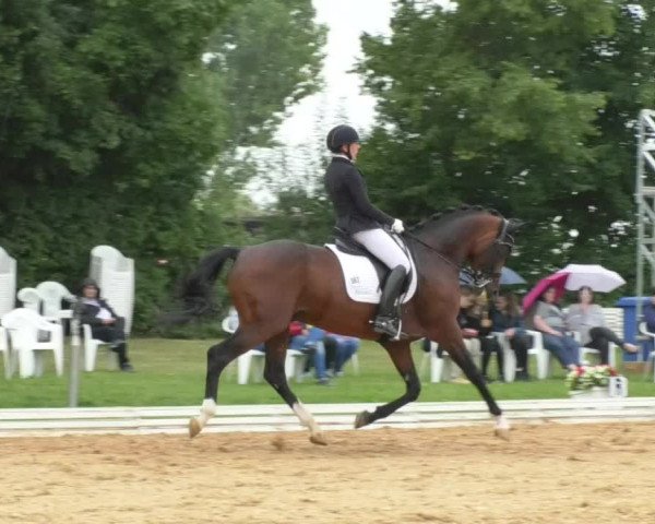 Reitturnier Nördlingen 2018
