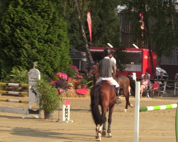 Reitturnier Herbern 2018