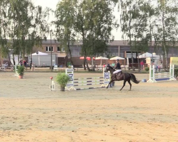 Reitturnier Herbern 2018