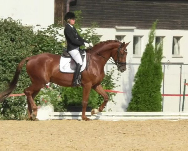 Reitturnier Nördlingen 2018