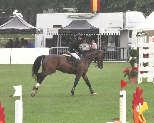 Reitturnier Nördlingen 2018