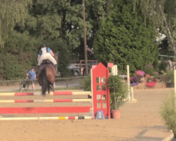 Reitturnier Herbern 2018