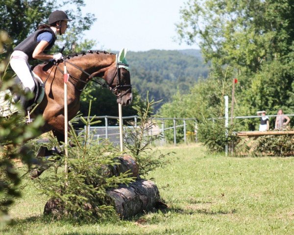 jumper Lyndor (Oldenburg, 2010, from Landor S)