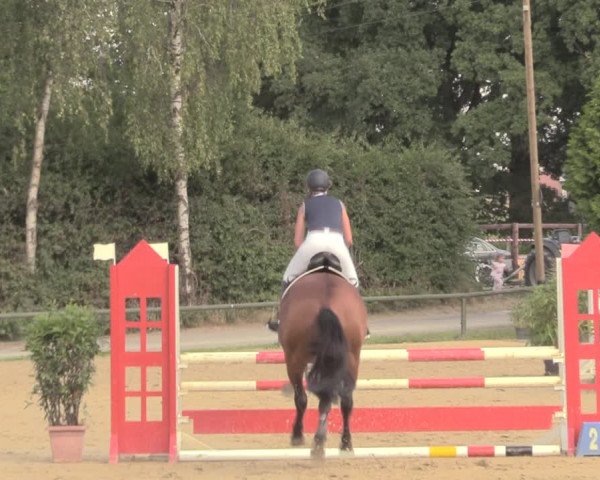 Reitturnier Herbern 2018