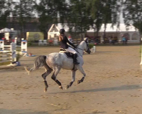Reitturnier Herbern 2018