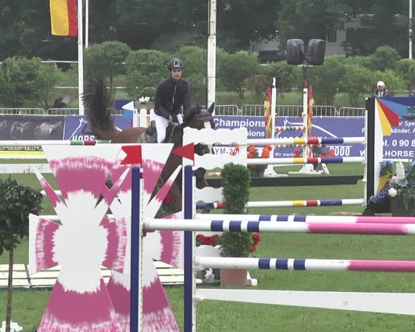 Reitturnier Nördlingen 2018