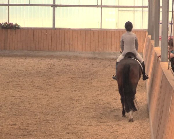 Reitturnier Herbern 2018