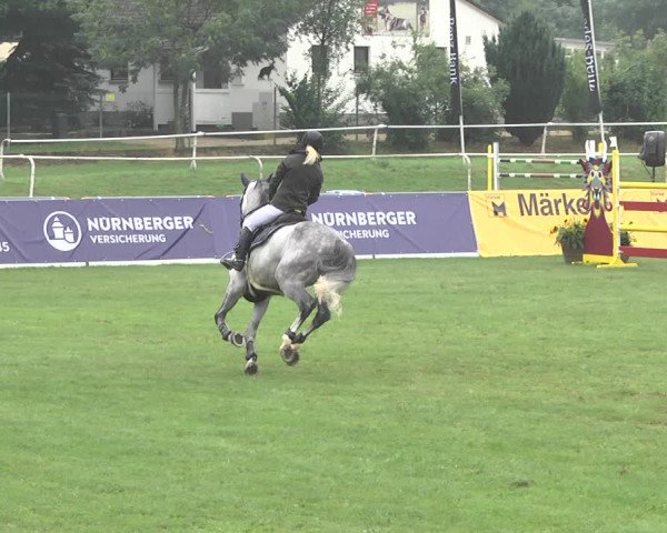 Reitturnier Nördlingen 2018