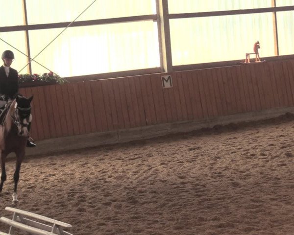 Reitturnier Herbern 2018