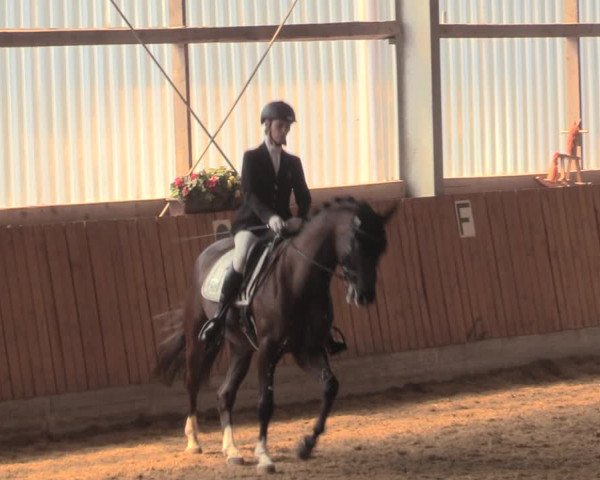 Reitturnier Herbern 2018