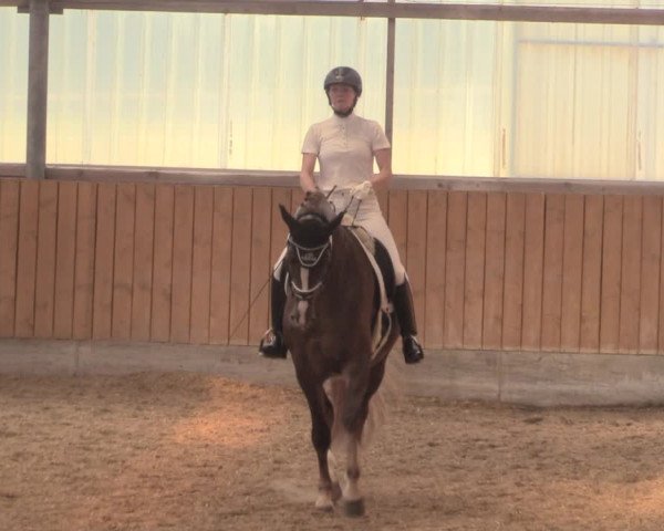 Reitturnier Herbern 2018