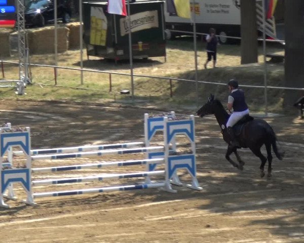 Reitturnier CSN Calvörde 2018