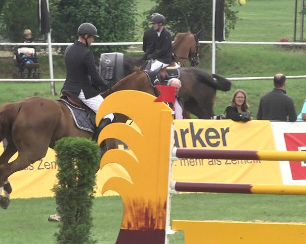 Reitturnier Nördlingen 2018