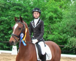 dressage horse Neandros 2 (German Riding Pony, 2010, from Nino)
