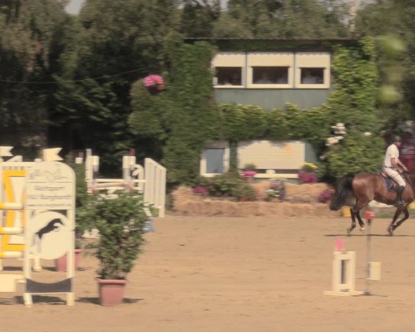 Reitturnier Herbern 2018