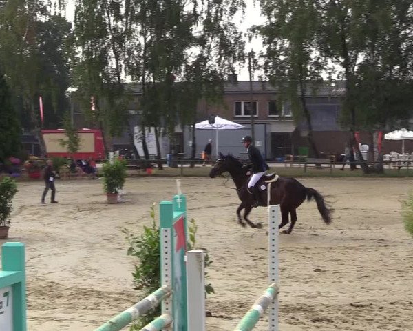Reitturnier Herbern 2018