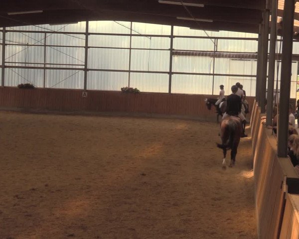 Reitturnier Herbern 2018