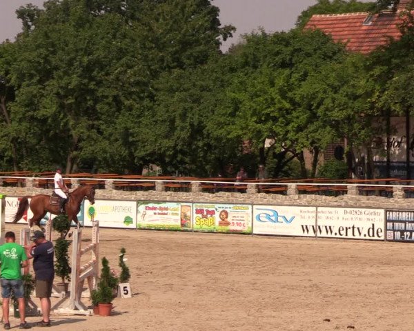 Görlitzer Springtage 2018