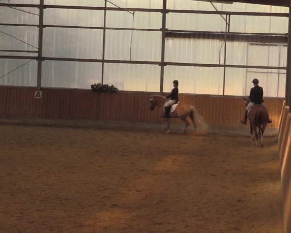 Reitturnier Herbern 2018