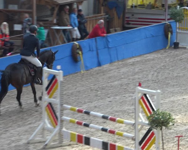 Reitturnier Sögel 2021