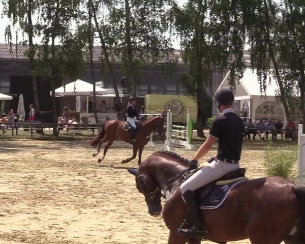Reitturnier Herbern 2018