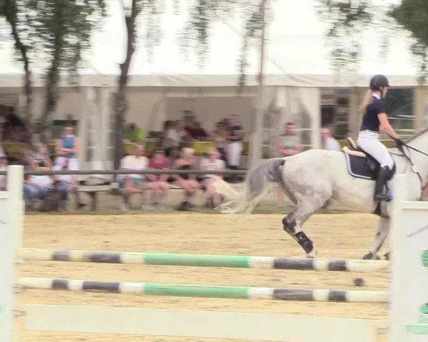 Reitturnier Herbern 2018