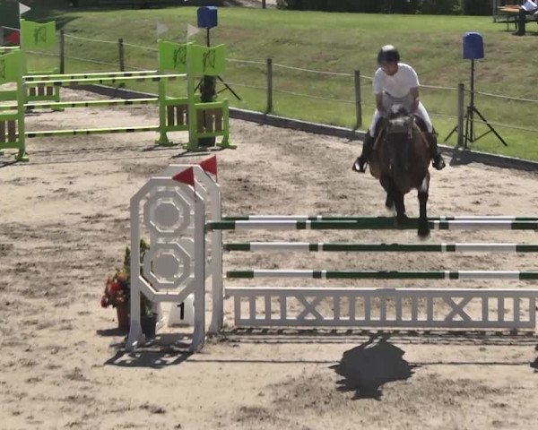 Sommerspringen Turbenthal 2018