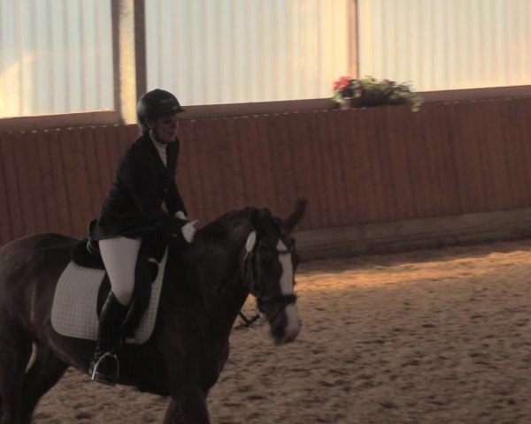 Reitturnier Herbern 2018