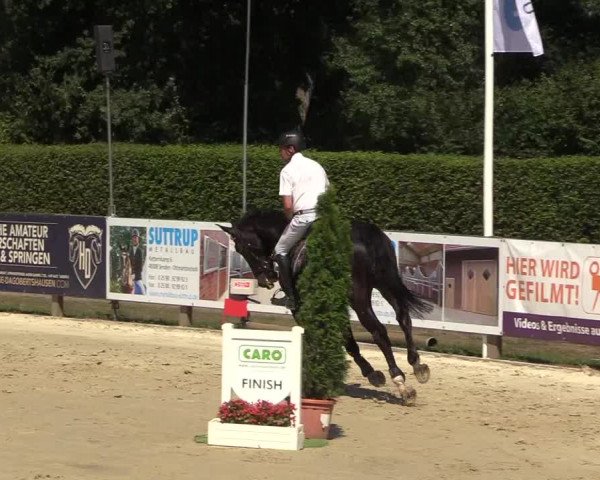 Reitturnier Münster-Handorf 2018