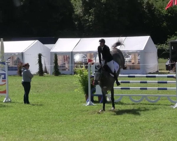 Reitturnier Hanerau-Hademarschen 2018