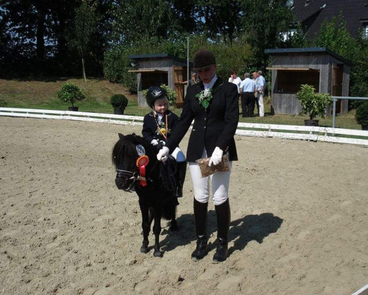 horse Karlchen von Kalksbeck (unknown,  )