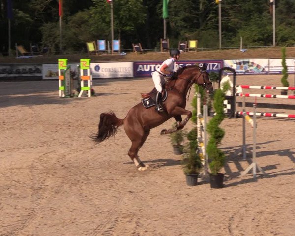 Görlitzer Springtage 2018