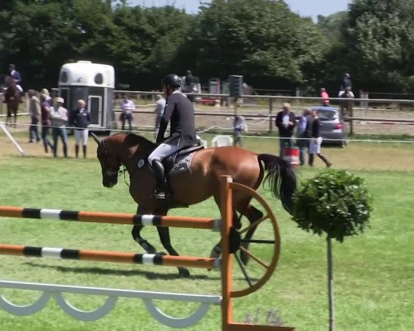 Reitturnier Hanerau-Hademarschen 2018