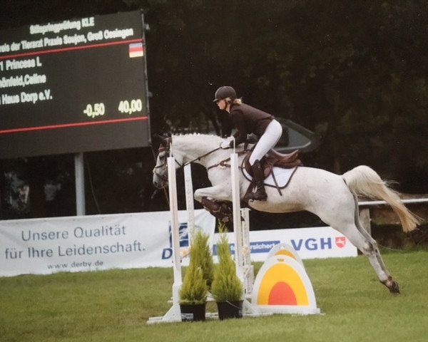 horse Princess L (Trakehner, 2005, from Silvermoon)