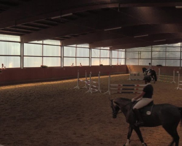Reitturnier Herbern 2018