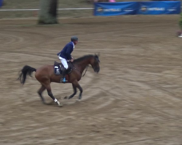 Reitturnier CSN Calvörde 2018