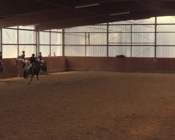 Reitturnier Herbern 2018
