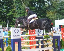 stallion Schiller 9 (Hanoverian, 2011, from Spartacus TN)