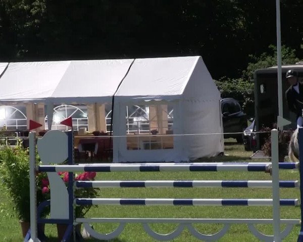 Reitturnier Hanerau-Hademarschen 2018
