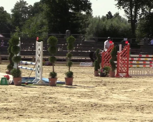 Reitturnier Münster-Handorf 2018