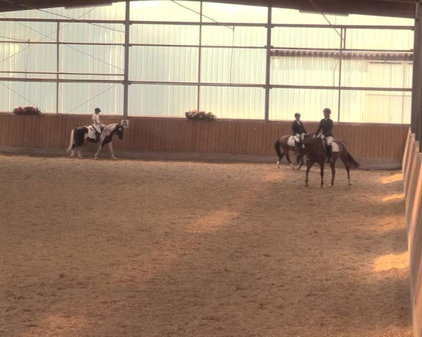 Reitturnier Herbern 2018
