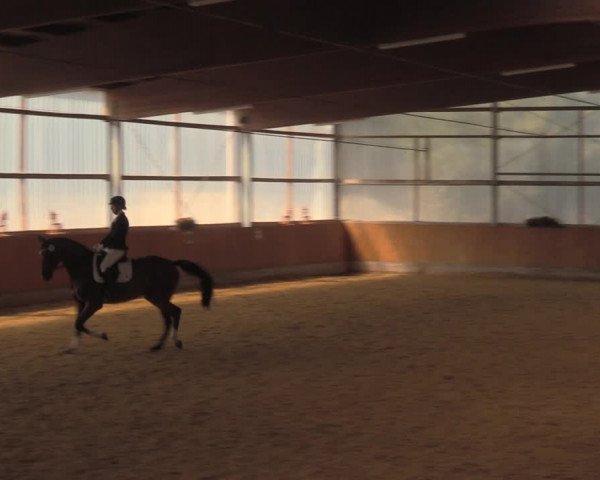Reitturnier Herbern 2018